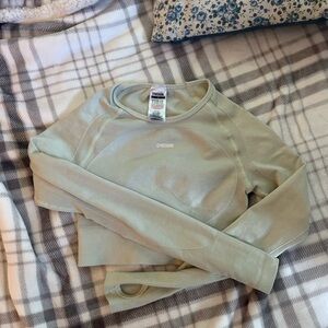 pastel green gym shark